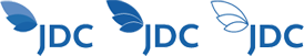 Jeju Free International City Development Center Logotype
